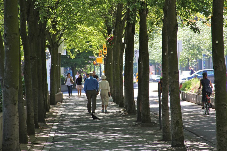 A pleasant streetscape with shade trees overhanging a sidewalk and protected bike lane.